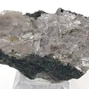 Diaspore - image 1
