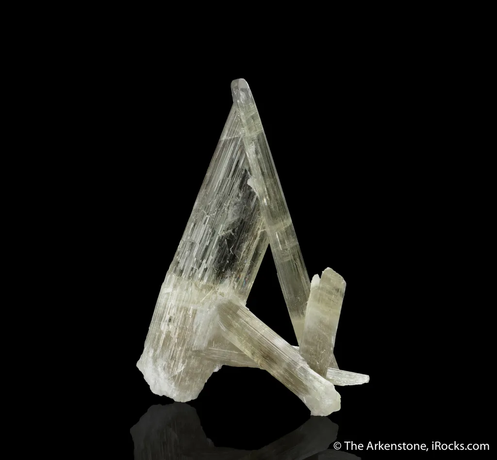 Diaspore - image 4
