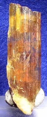Diaspore image