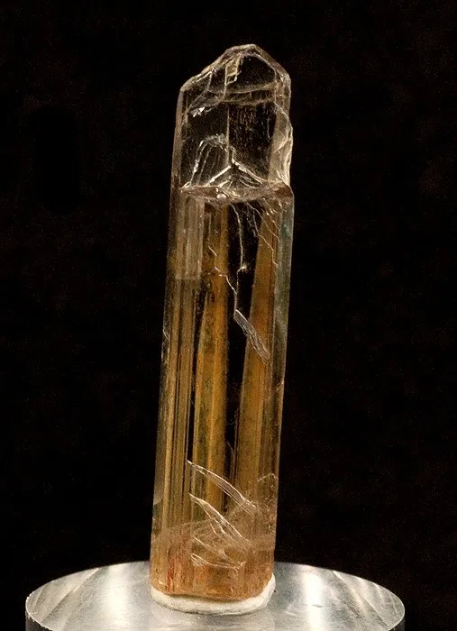 Diaspore image