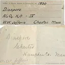 Diaspore - image 2