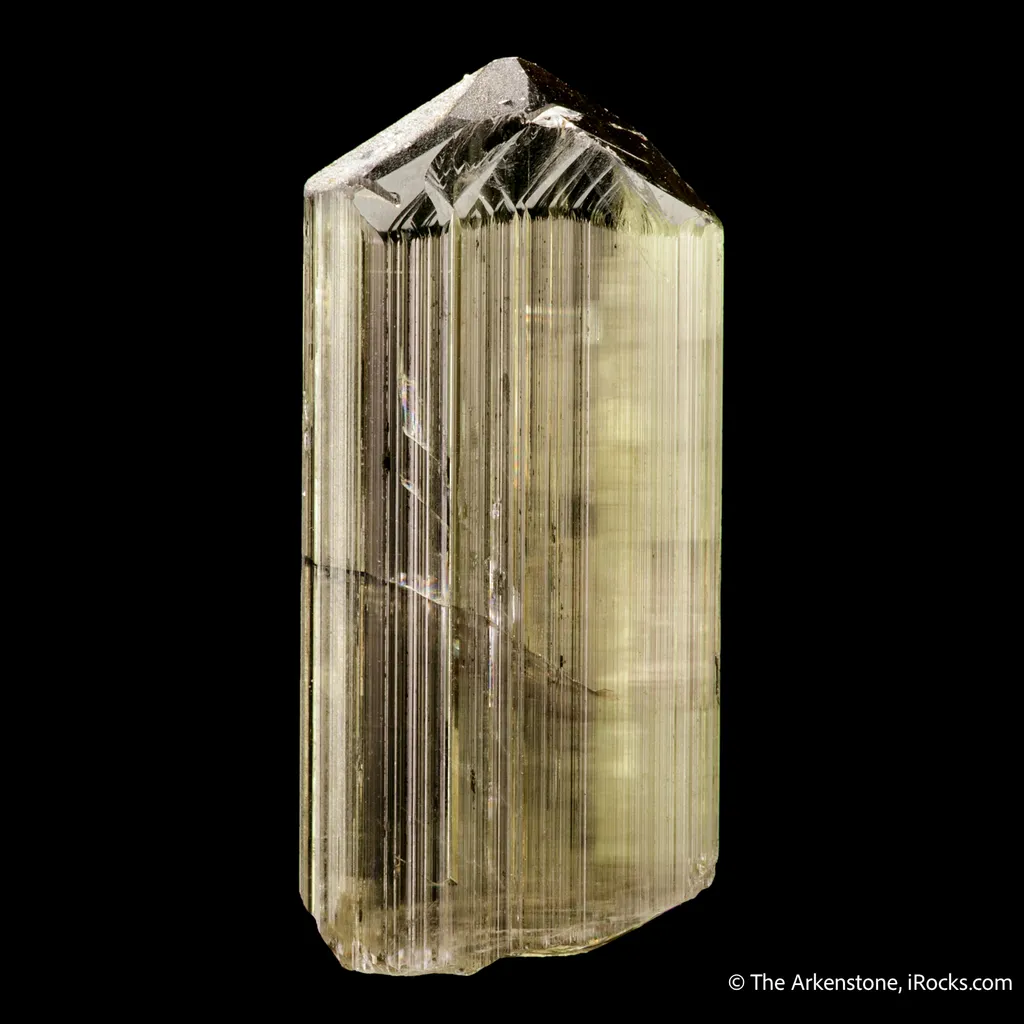 Diaspore - image 5