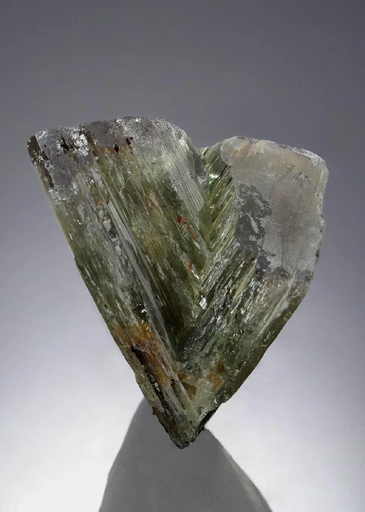 Diaspore image