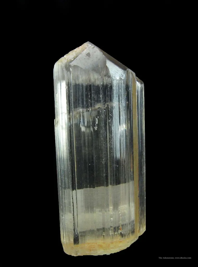 Diaspore - image 5