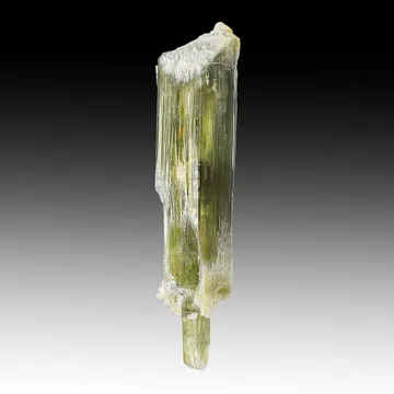 Diaspore