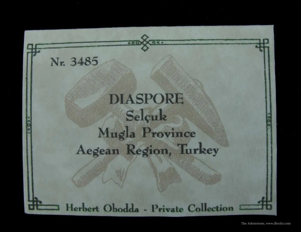 Diaspore - image 6