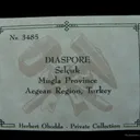 Diaspore - image 6