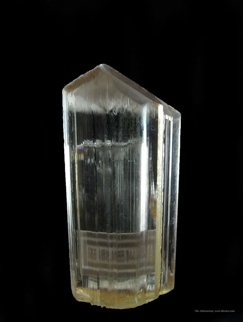 Diaspore - image 4