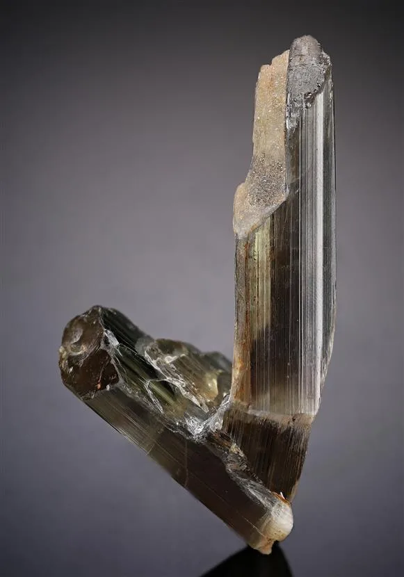 Diaspore image