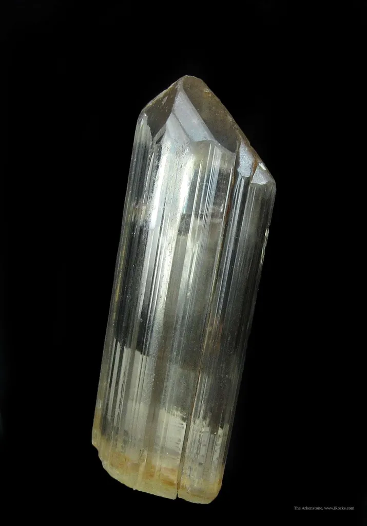 Diaspore - image 2