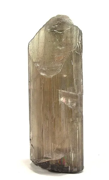 Diaspore image