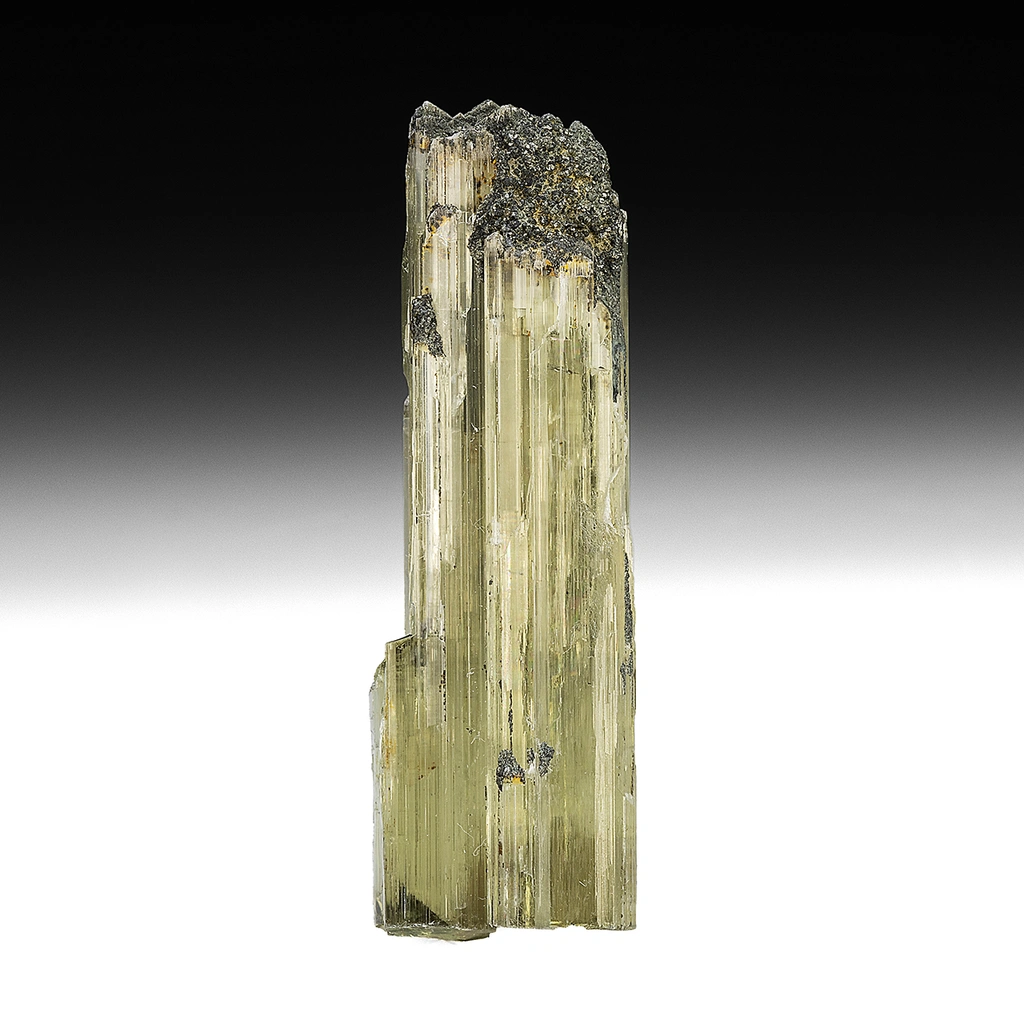 Diaspore from Milâs District, Muğla Province, Türkiye - image 1