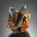 Diaspore from Türkiye, Muğla Province - image 2