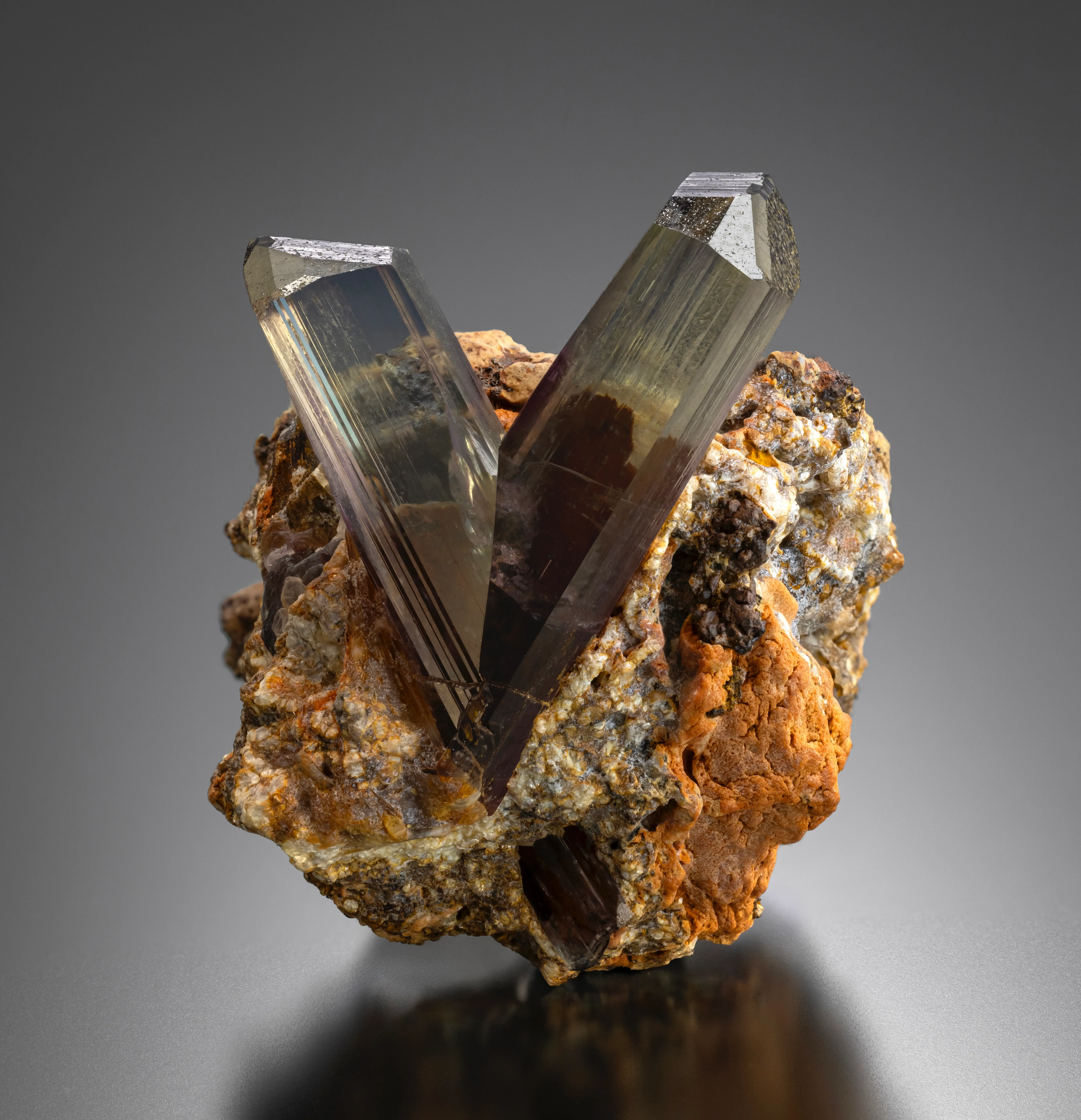 Diaspore from Türkiye, Muğla Province - image 2