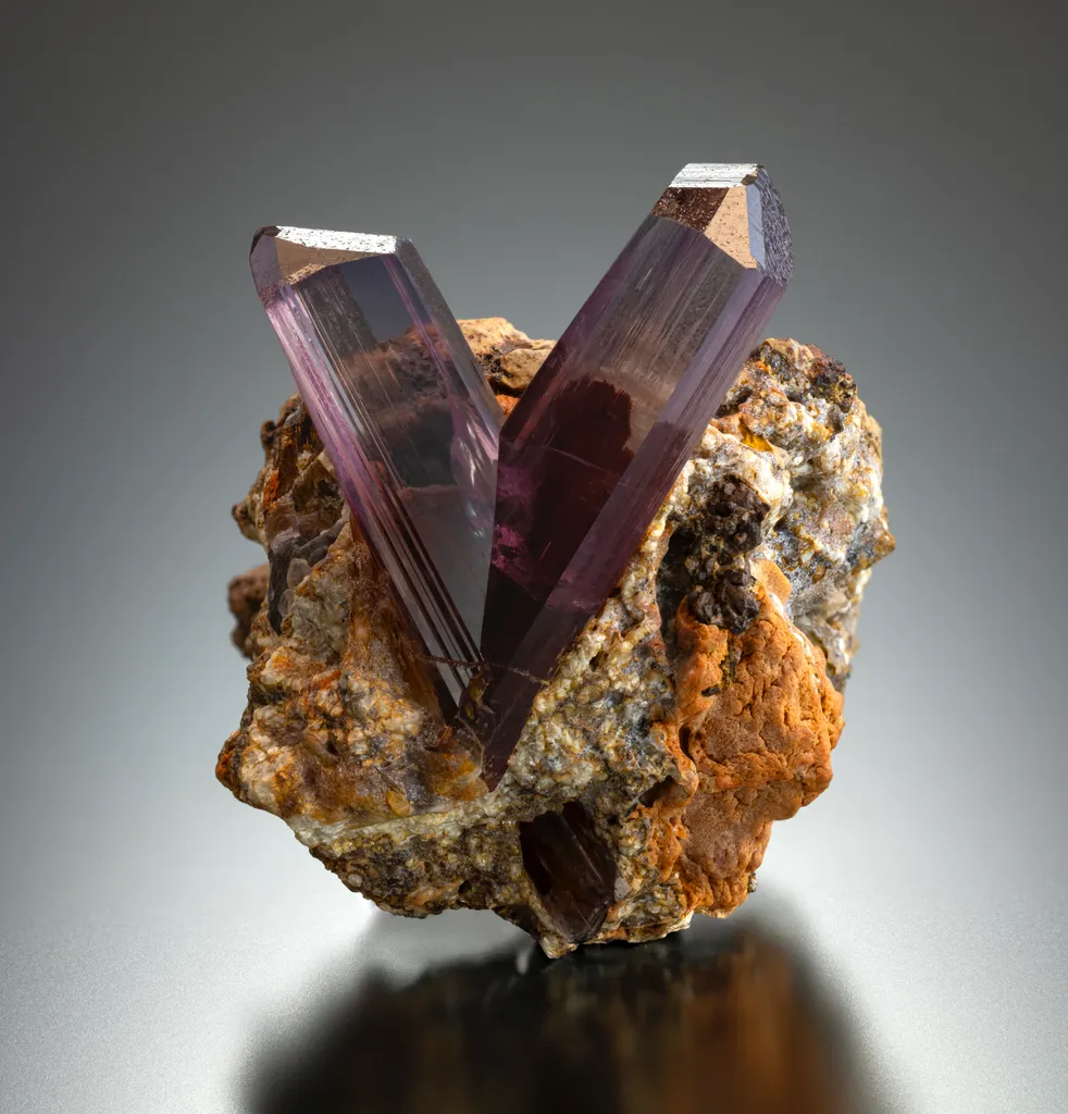 Diaspore from Türkiye, Muğla Province