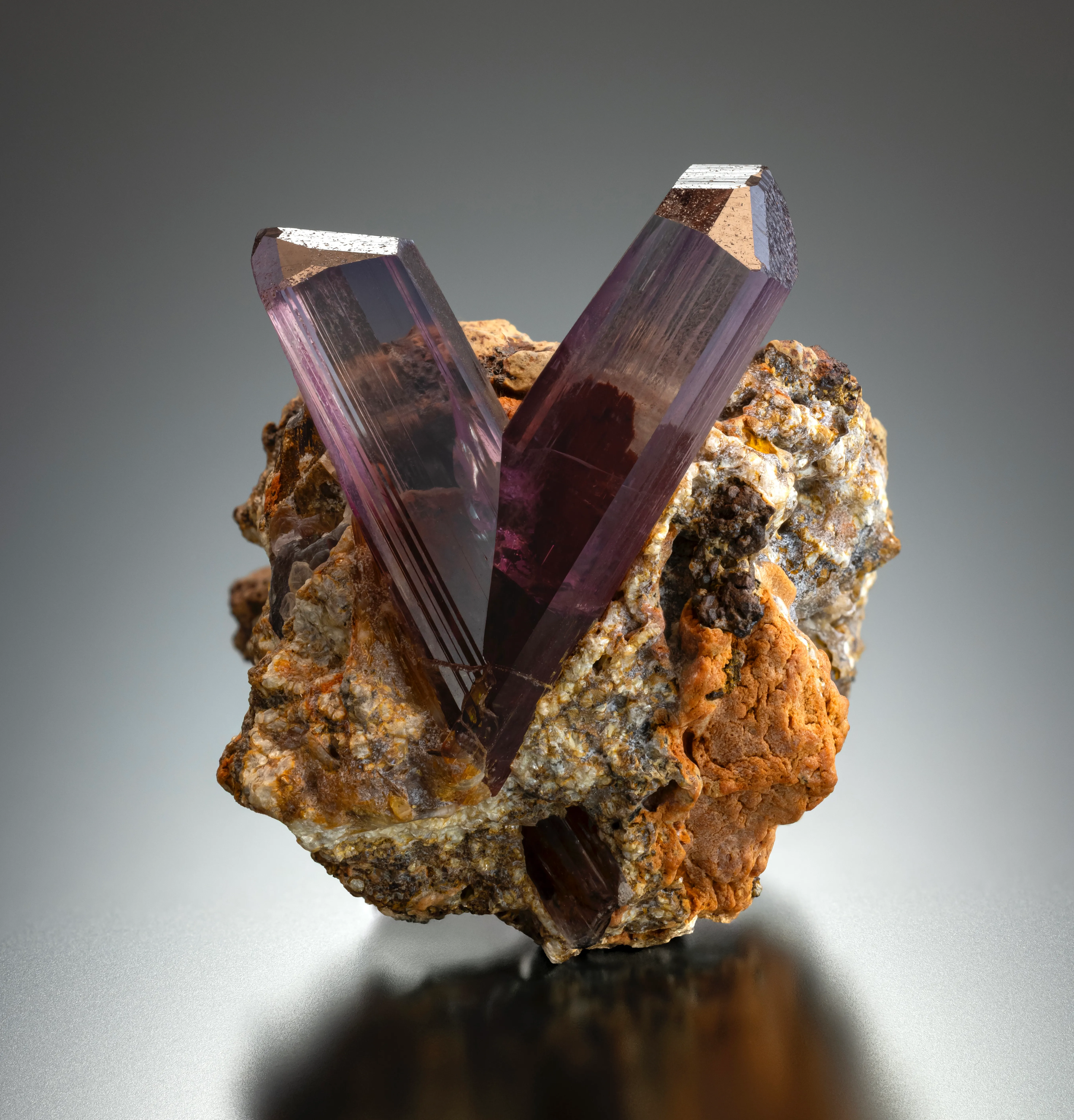 Diaspore from Türkiye, Muğla Province - image 1