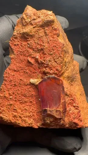 specimen video