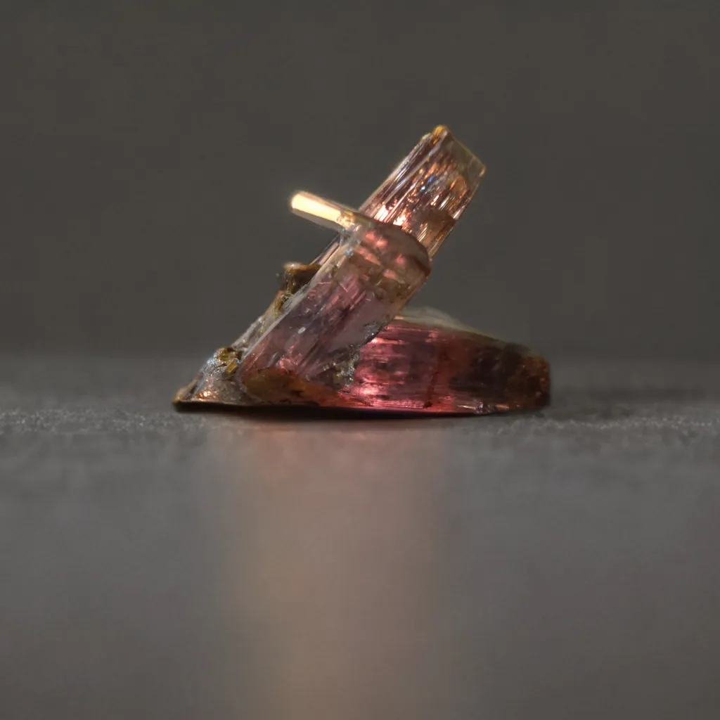 Diaspore from Turkey, Mugla Province, Milâs District - image 2