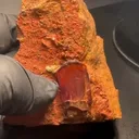 Diaspore from Turkey, Mugla Province, Milâs District - image 6