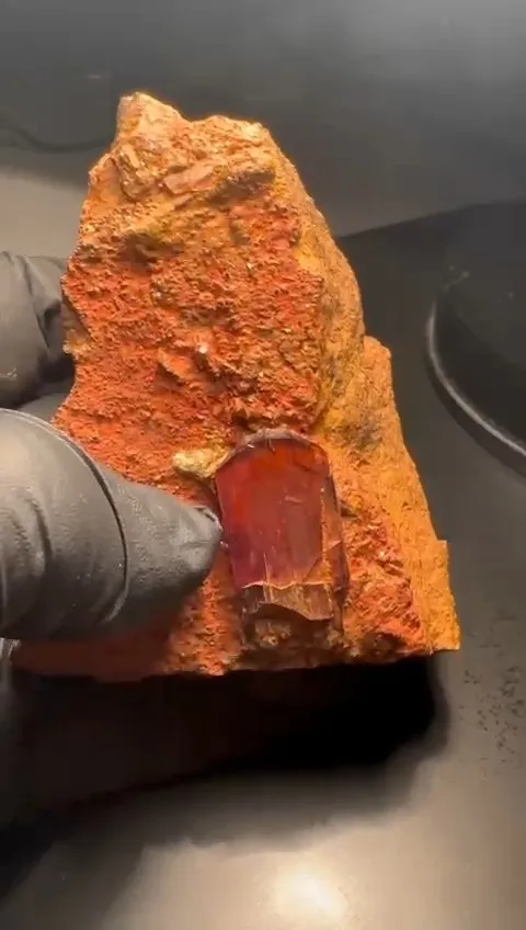 Diaspore from Turkey, Mugla Province, Milâs District - image 6