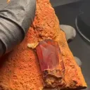 Diaspore from Turkey, Mugla Province, Milâs District - image 5