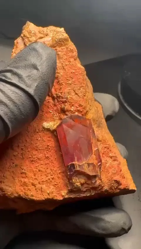 Diaspore from Turkey, Mugla Province, Milâs District - image 5