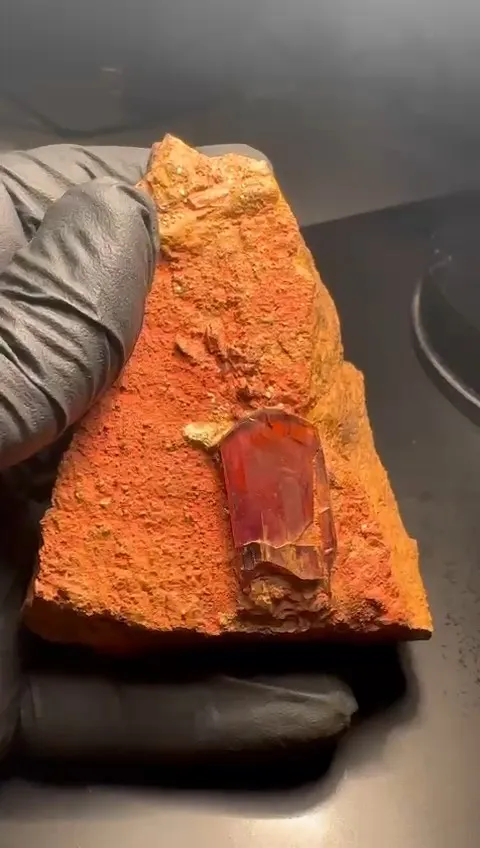 Diaspore from Turkey, Mugla Province, Milâs District - image 1