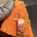 Diaspore from Turkey, Mugla Province, Milâs District - image 4