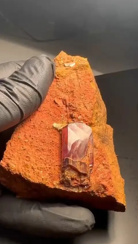 Diaspore from Turkey, Mugla Province, Milâs District - image 4