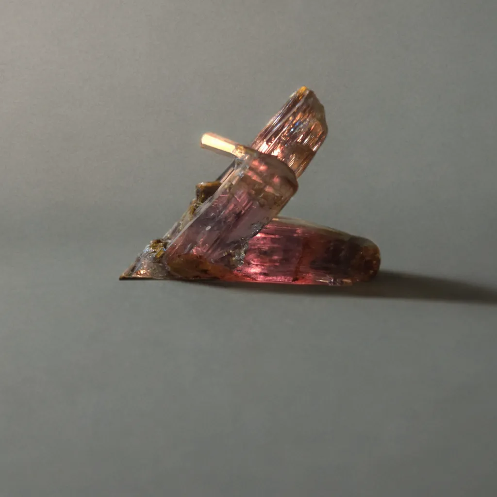 Diaspore from Turkey, Mugla Province, Milâs District - image 1