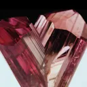 specimen video