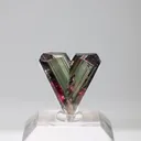 specimen video