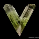 Diaspore (Twinned) - image 4