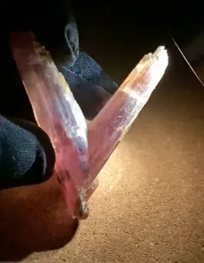specimen video
