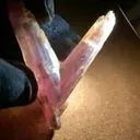 specimen video