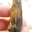 Diaspore "V-twin" - 33.7 grams - Selçuk District, Izmir Province, Türkiye - image 3