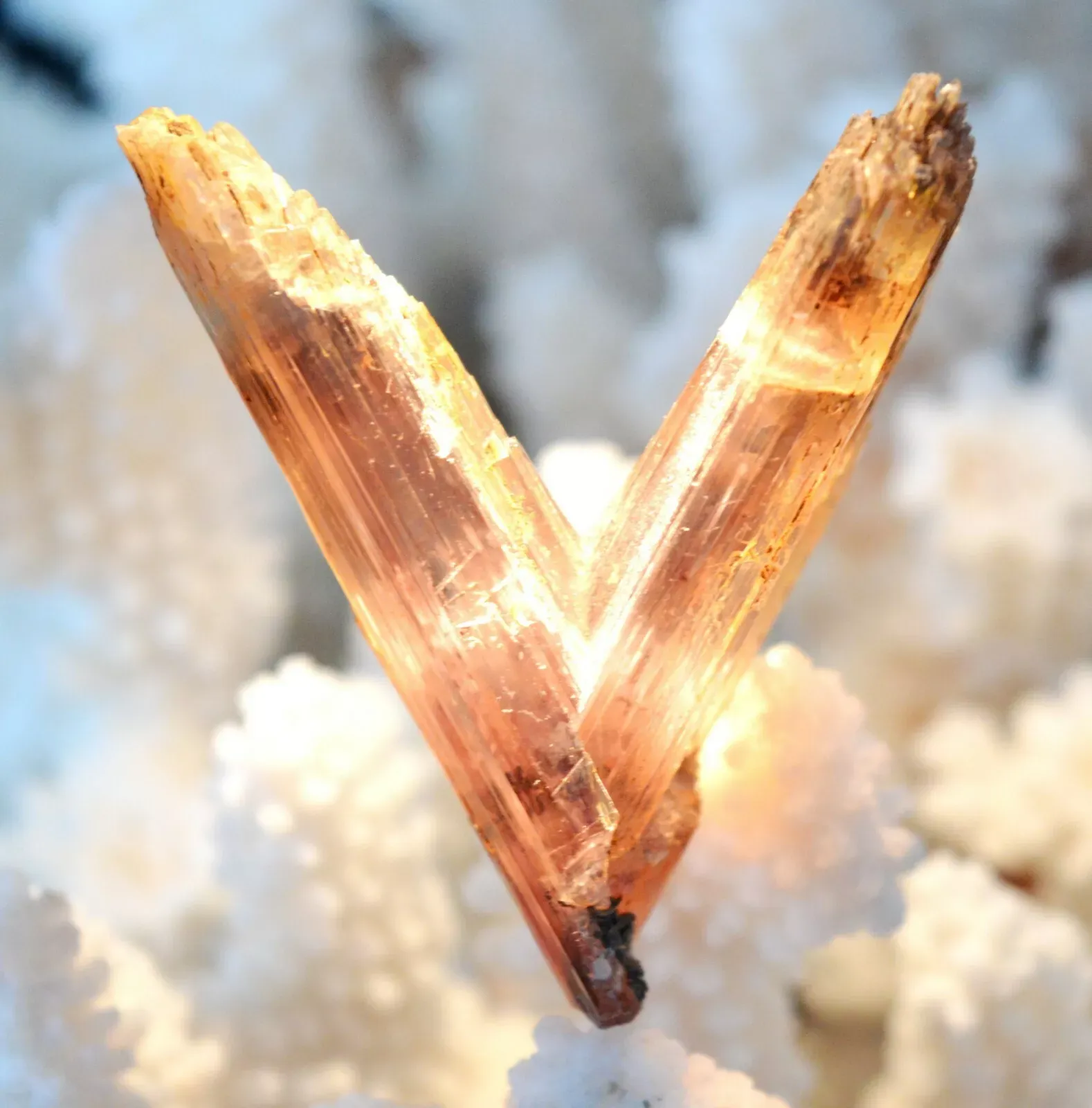 Diaspore "V-twin" - 33.7 grams - Selçuk District, Izmir Province, Türkiye - image 7