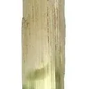 Diopside - image 1
