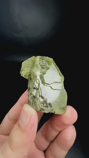 specimen video