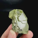 specimen video