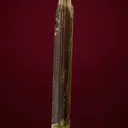 Diopside - image 4