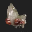 Diopside and Grossular var. Hessonite - image 6