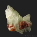 Diopside and Grossular var. Hessonite - image 5