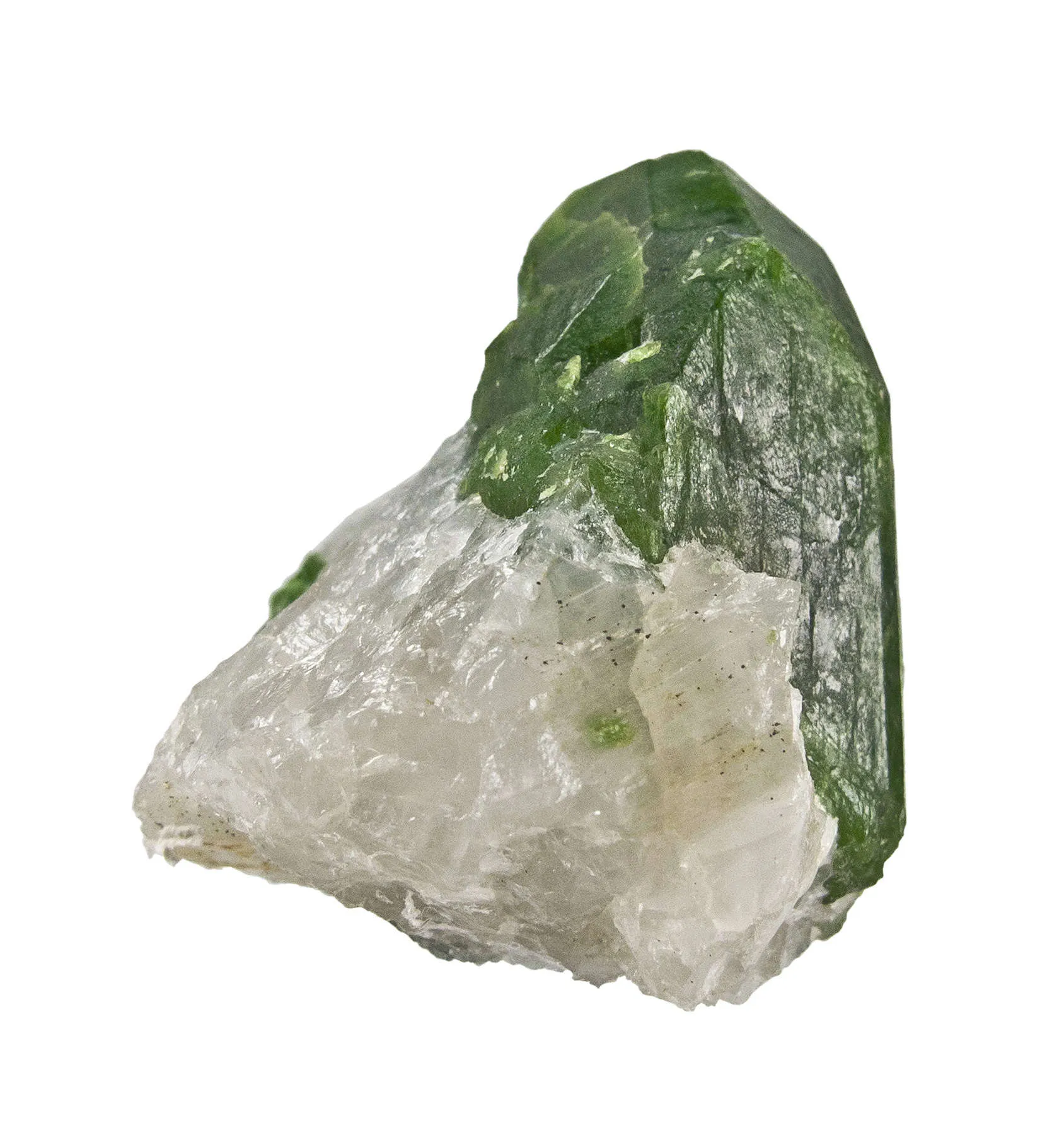 Diopside (Chrome) - image 2