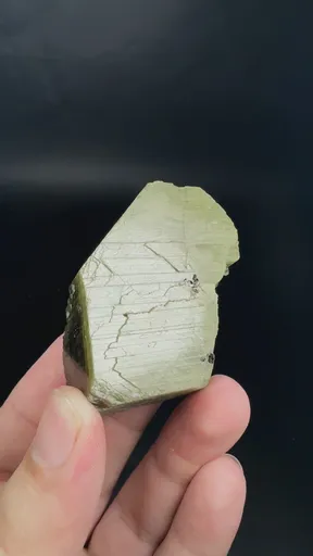 specimen video