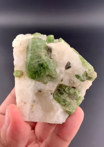 specimen video