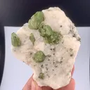 Diopside from Afghanistan - image 4