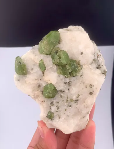 specimen video