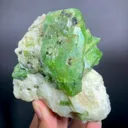 specimen video