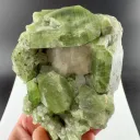 Diopside from Afghanistan - image 1